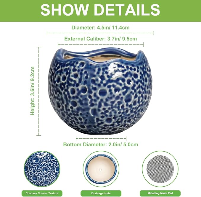 4 inch Plant Pots - Image 2