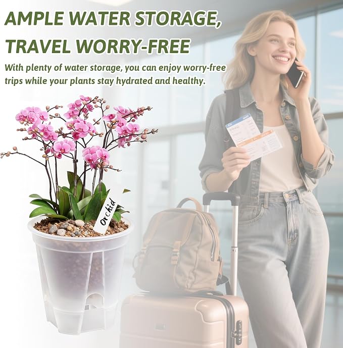 Clear Self Watering Pots for Indoor Plants - Image 2
