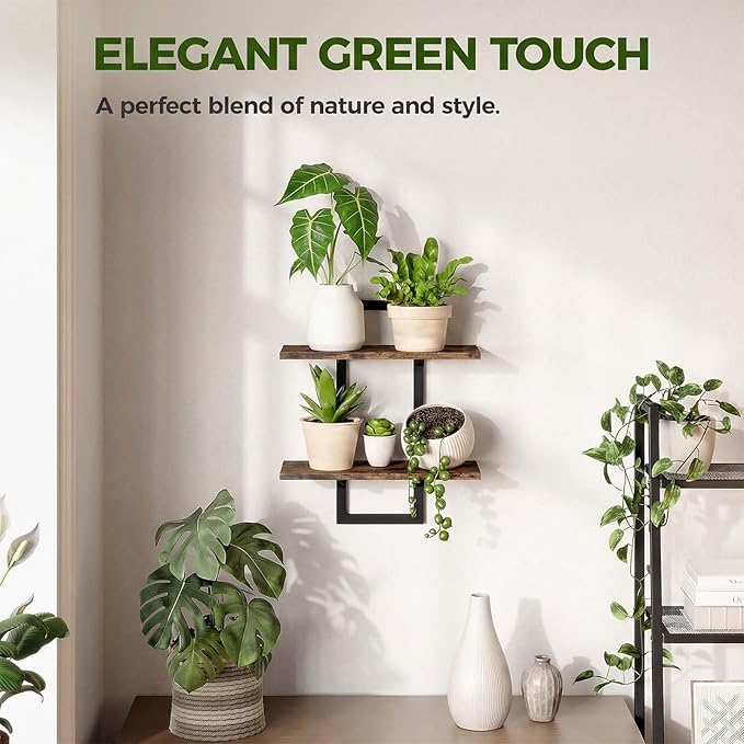 Bamworld Wall Planters for Indoor Plants Window Plant Shelves Vertical Plant - Image 6