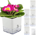 Planterhoma Self Watering Plant Pots by Planterhoma
