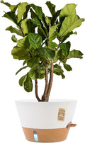 12-Inch Self Watering Planters by FIASON
