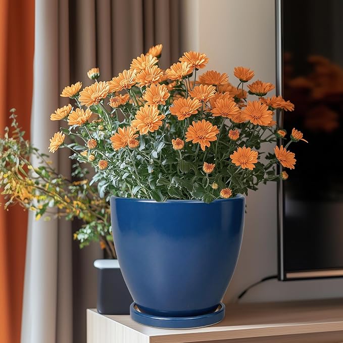 Ceramic Plant Pot - Image 2