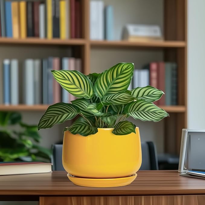 G EPGardening Ceramic Pots for Plants - Image 8