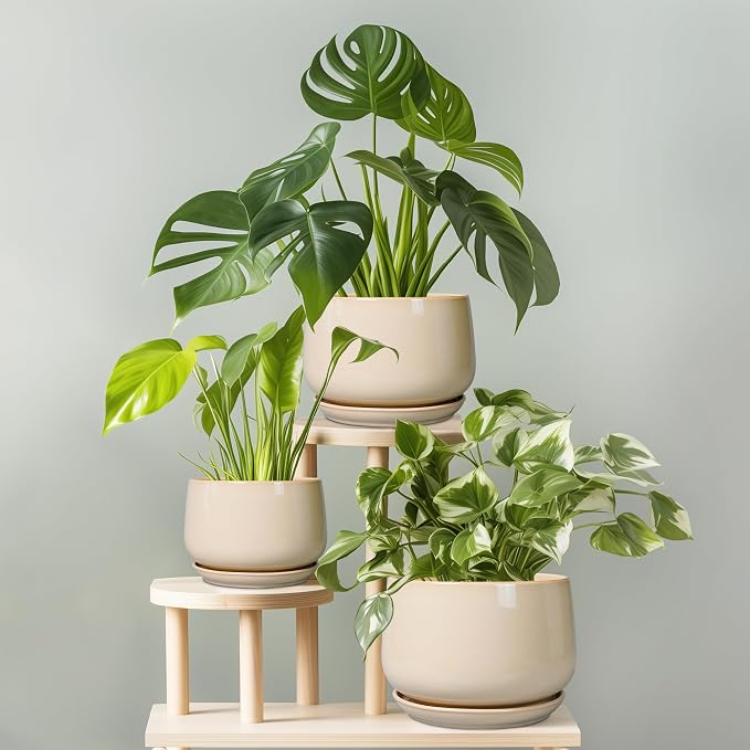 G EPGardening Ceramic Pot for Plants - Image 8