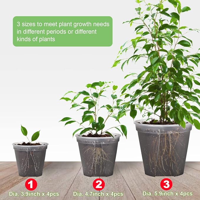 GREENPARA Transparent Plastic Planter 4/5 /6 inch Plant Nursery Pots - Image 6