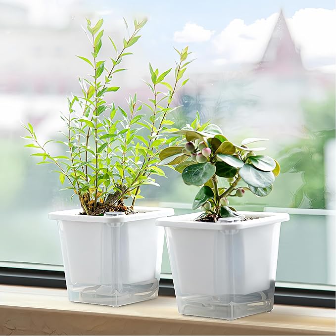 FAMZ Self Watering Pots for Indoor Plants 3 Pack，Clear Plant Pots - Image 8