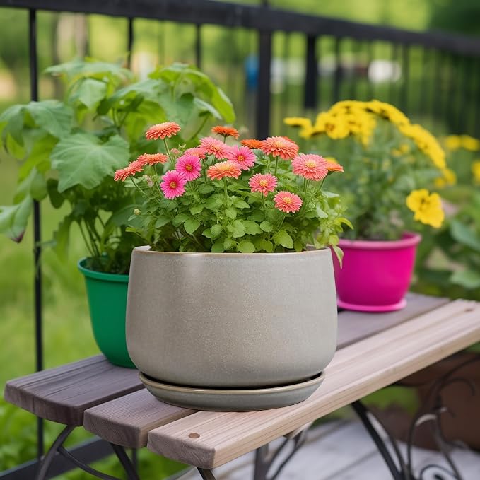 G EPGardening Ceramic Planter 9 Inch - Image 2