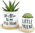 Say Aloe to My Little Friend Planter Pot, Funny Plant Pots, Aloe Plant Pot by Msyueos