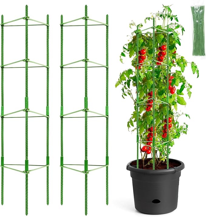 Legigo 2-Pack Tomato Cage for Garden Plant Support- Up to 63inch Garden Stakes - Image 8