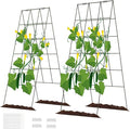 DOEWORKS Cucumber Trellis, 2 Pack, Plant Support by DOEWORKS