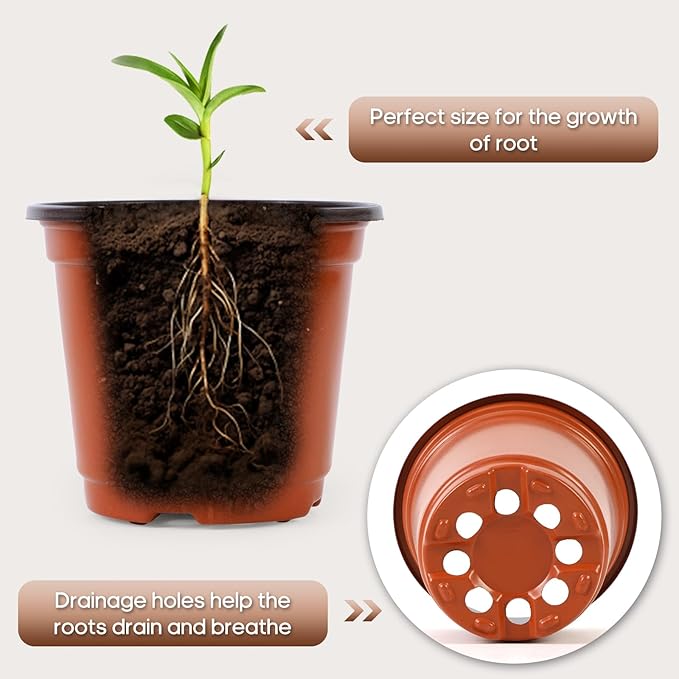 200 Pack 6 Inch Plastic Nursery Pots - Image 3