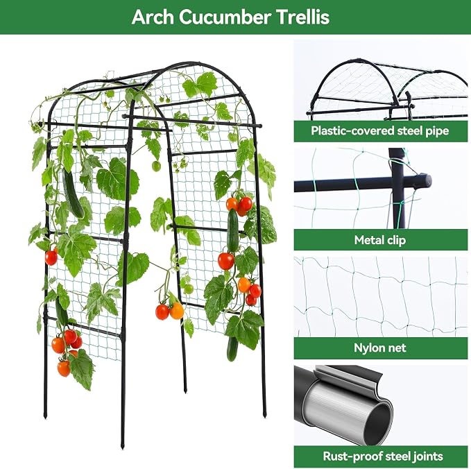 Lalahoni Garden Arch Trellis for Climbing Plants Outdoor, 80 Inch Tall Grape - Image 3