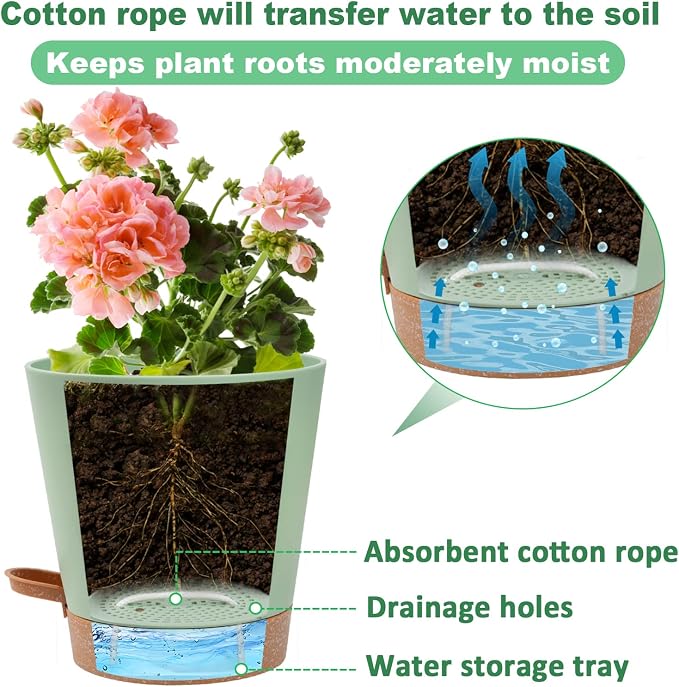 Aulock 6in Self Watering Pots for Indoor Plants - Image 4