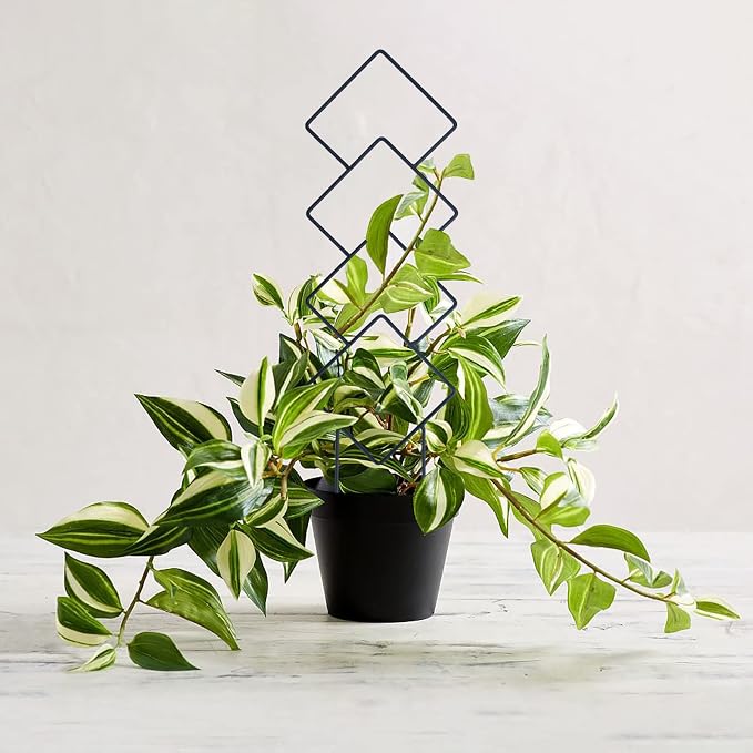 Indoor Plant Trellis for Climbing Plants, 16inch Small Garden Metal Trellis for - Image 9