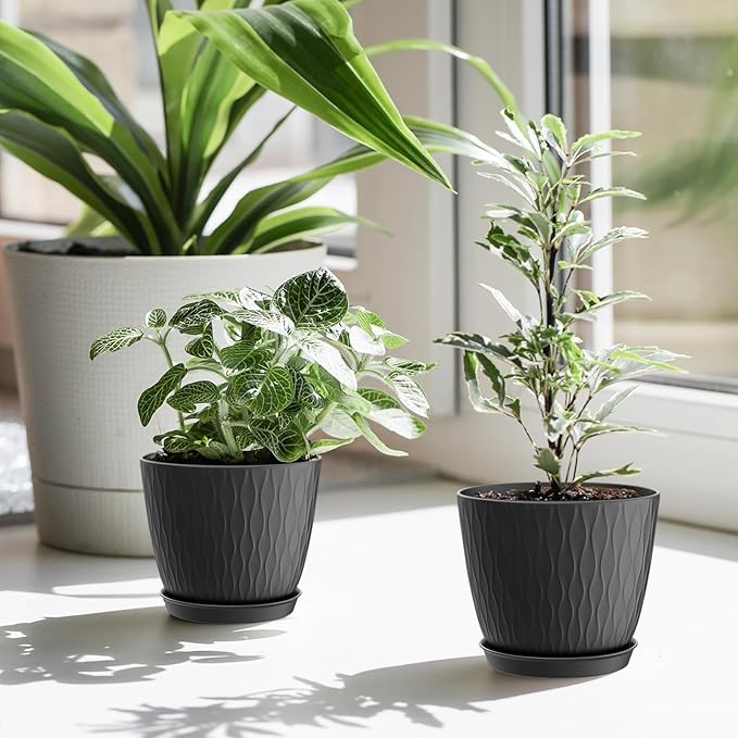 6 inch Plant Pots, 5 Pack Flower Pots - Image 7
