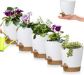 5 Pack 5 inch Self-Watering Pots, African Violets Planter by zople