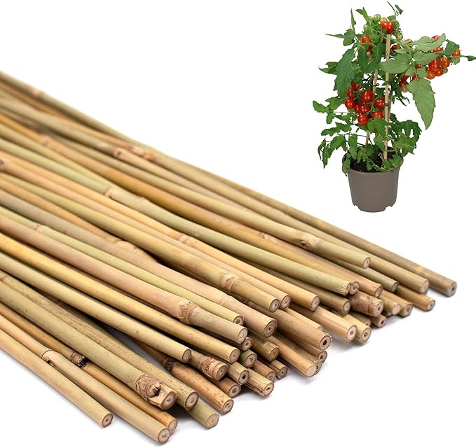 50PCS Plant Stakes, Natural Bamboo Stakes, Garden Stakes by POLIUMB