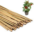 50PCS Plant Stakes, Natural Bamboo Stakes, Garden Stakes by POLIUMB