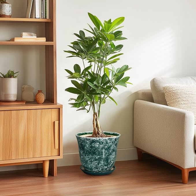 Ceramic Plant Pots - Image 4
