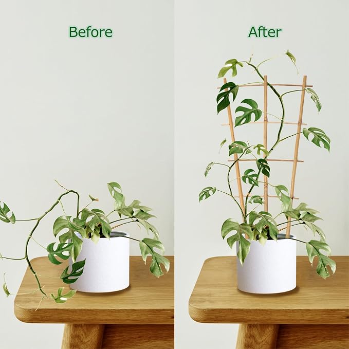 Plant Trellis Indoor 6 Pack Bamboo Trellis - Image 4