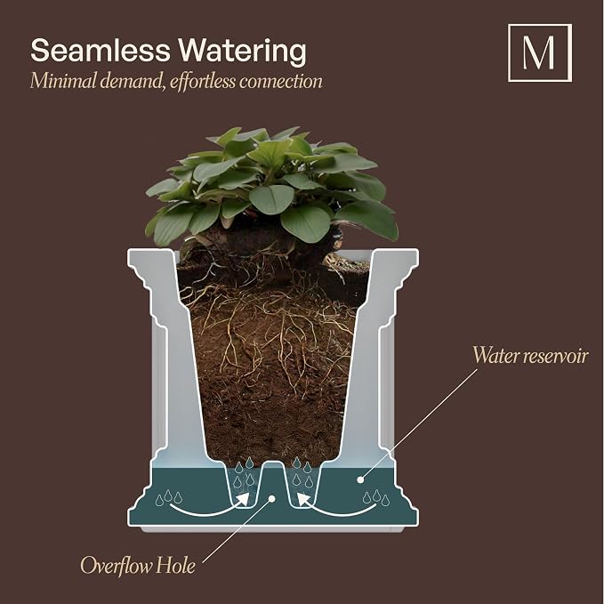 Mayne Fairview 3ft Durable Self Watering Window Box Planter - Image 3
