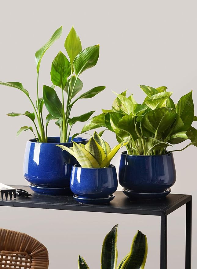 LE TAUCI Plant Pots, 4.1+5.1+6.5 inch, Ceramic Planters - Image 8