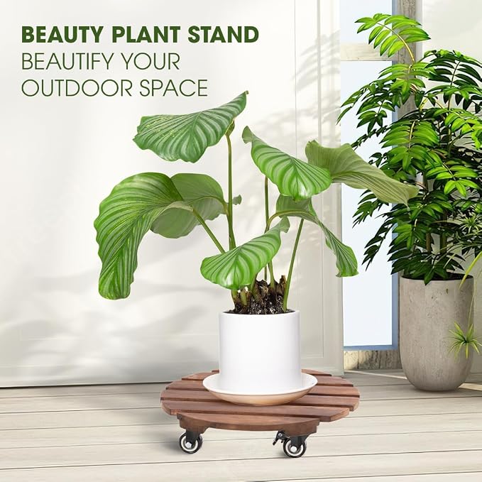 Idzo 2-Pack 14 Inch Acacia Wood Plant Caddy - Image 3