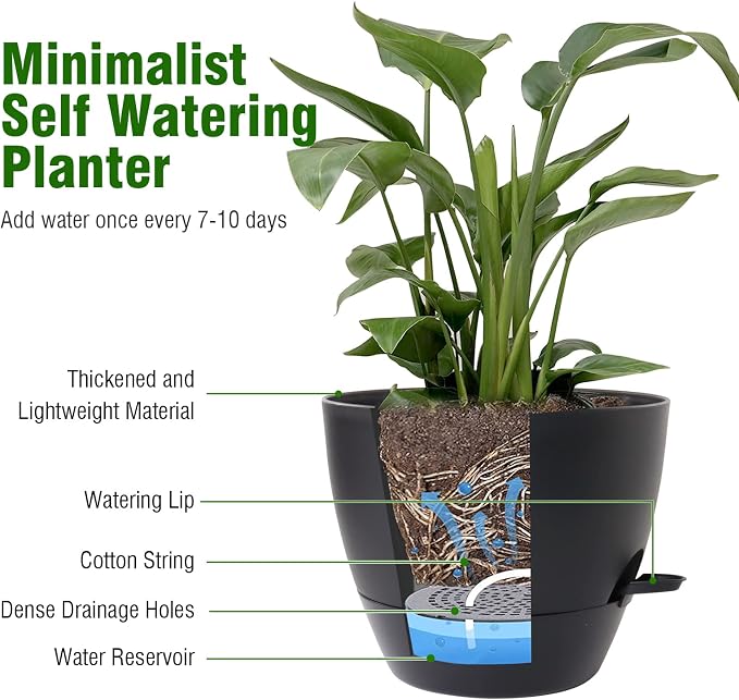 10 inch Self Watering Pots, 2 Pack Plastic Planters - Image 5