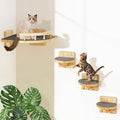 Cat Wall Shelves with 3 Steps, Wooden Cat Wall Furniture up to 15lbs, Floating by Chuiendi