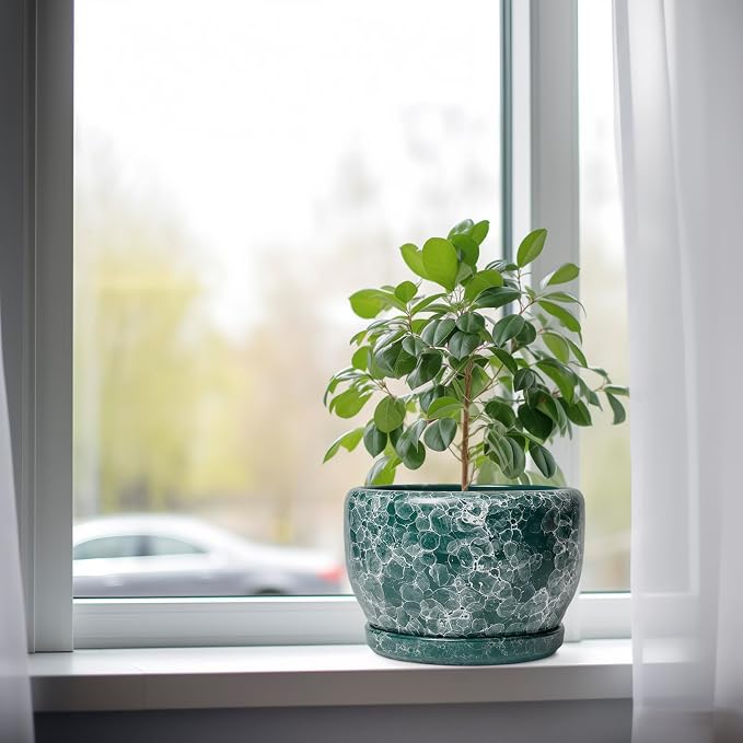 SQOWL 8 Inch Plant Pot - Image 4