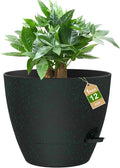 12 Inch Large Self Watering Pots, Flower Pots by Unknown