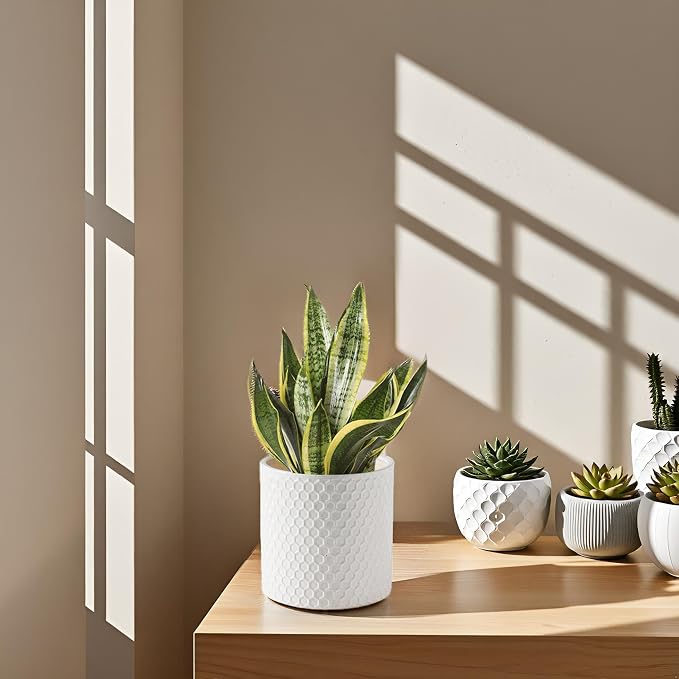 Docrin Ceramic Planters Indoor, 8 Inch Plant Pot - Image 4