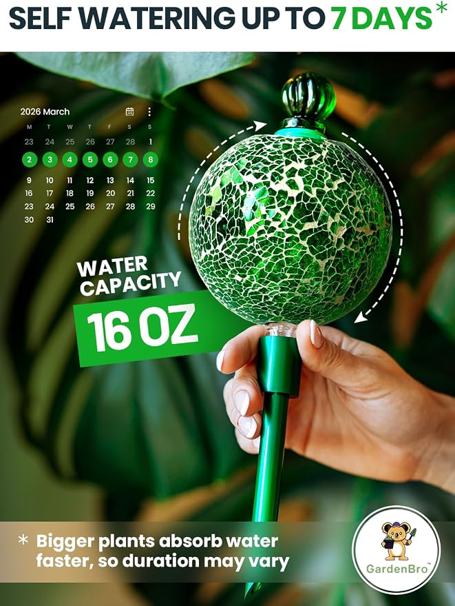16 Oz Plant Watering Globes for Indoor Plants - Image 2
