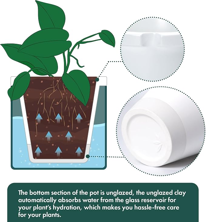 D'vine Dev 8 Inch Design Self Watering Planter - Image 6