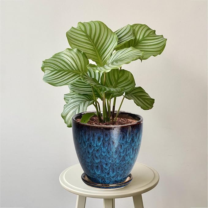 Ceramic Plant Pot, 6.3 Inch Ceramic Planter Pot - Image 2