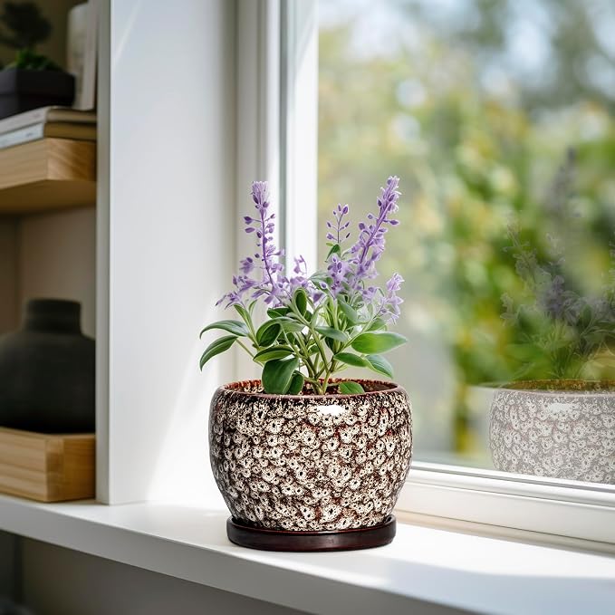 SQOWL Ceramic Plant Pots - Image 2