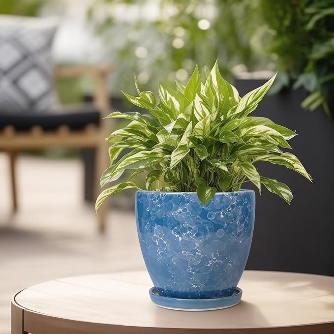 Ceramic Pots for Plants - Image 4
