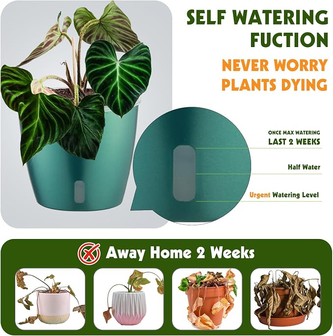 Self Watering Pots for Indoor Plants, Small African Violet Pots - Image 3