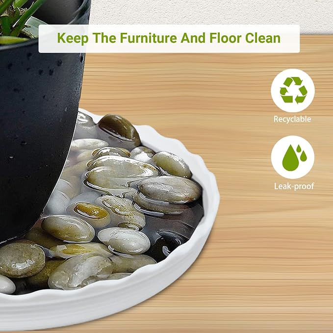 12Pcs Plant Saucer, 6 8 10 Inch Durable Plastic Plant Trays - Image 6