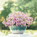 12 Bundles Artificial Pansy Flowers by Griine