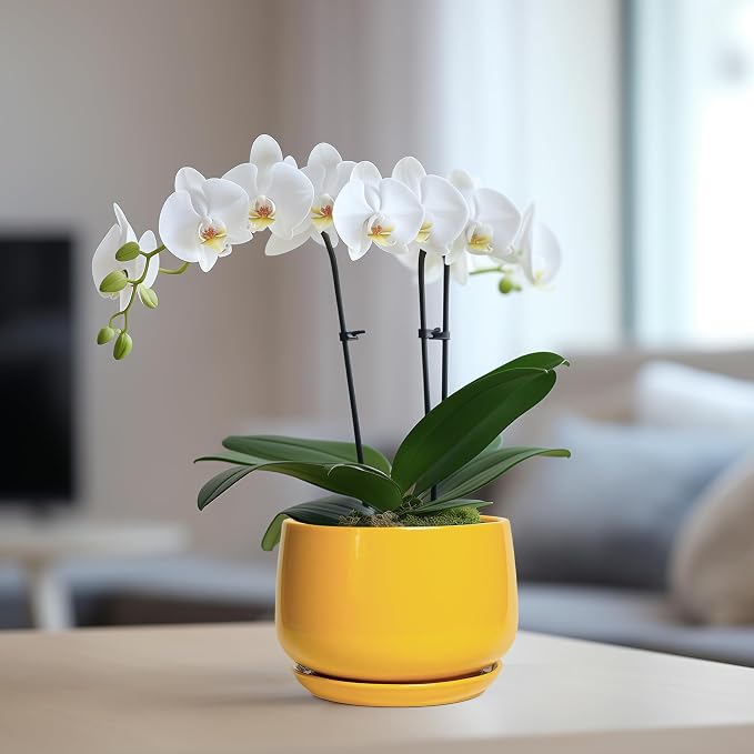 G EPGardening Ceramic Plant Pot - Image 5