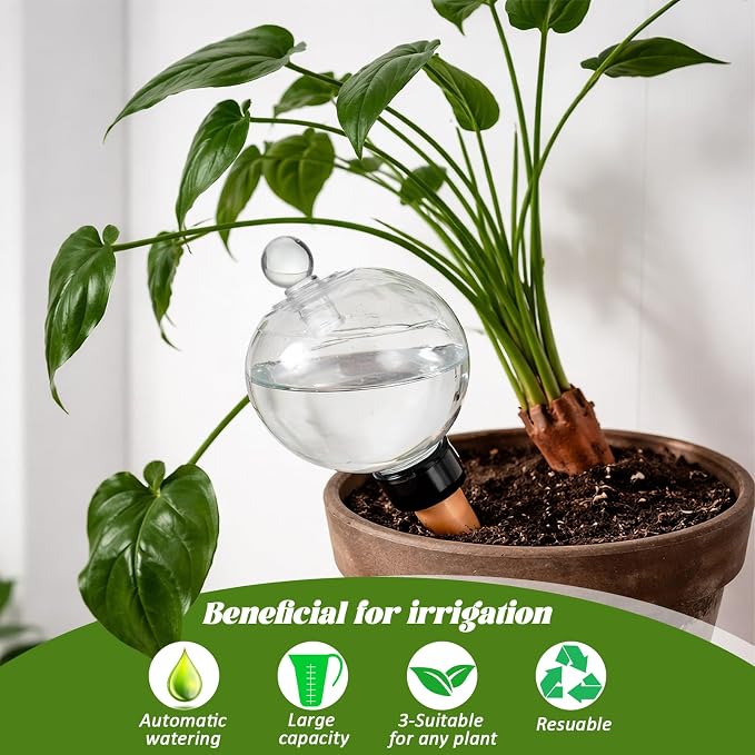 4 Pack 17.5 oz Plant Watering Globes - Image 5