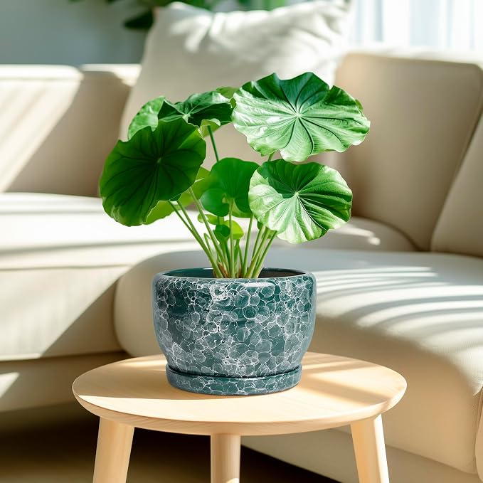 SQOWL 8 Inch Plant Pot - Image 2