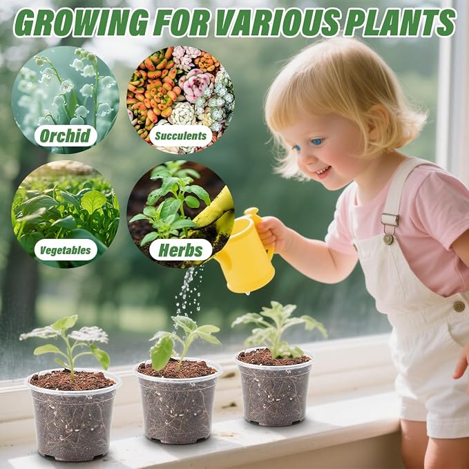 Clear Seedling pots 20 Pack 3.2 Inches Round - Image 6