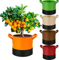 3 Gallon Fabric Grow Bags 5-Pack, 350G Heavy Duty Nonwoven Plant Pots by Fhyisble