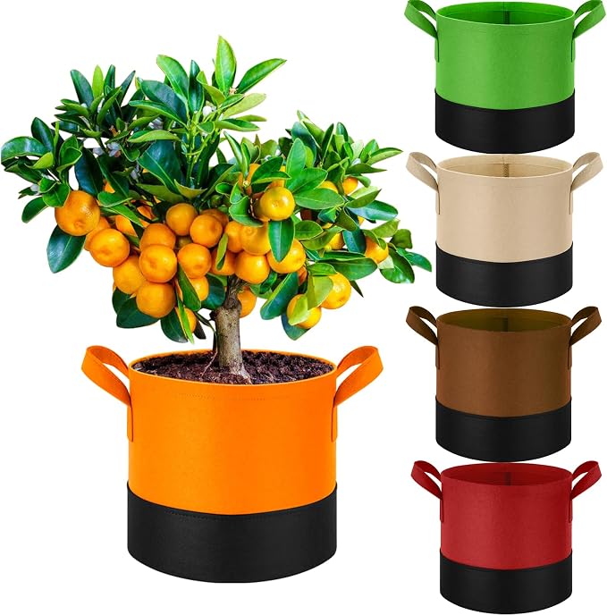 3 Gallon Fabric Grow Bags 5-Pack, 350G Heavy Duty Nonwoven Plant Pots by Fhyisble