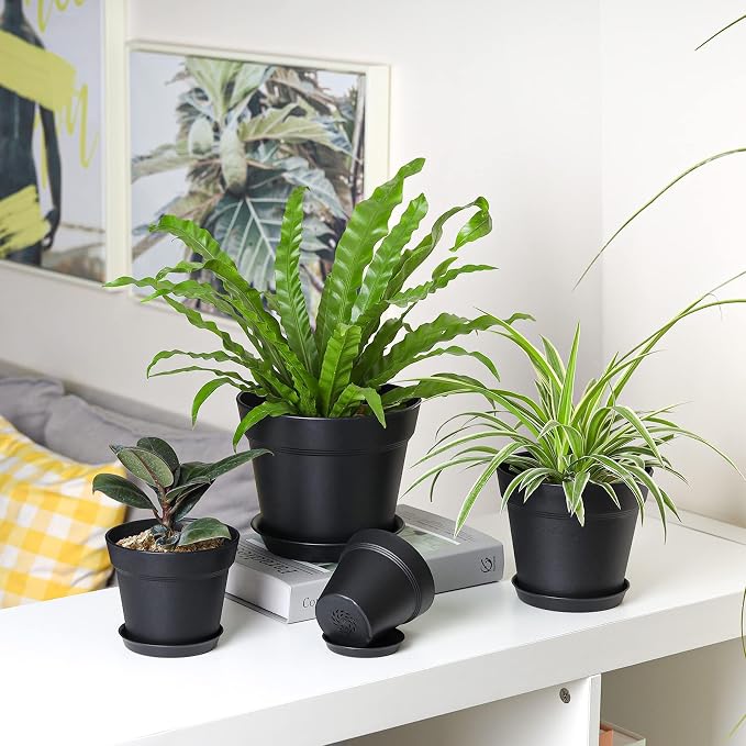 T4U 7.5 Inch Plant Pots 6 Pcs, Flower Pots - Image 5