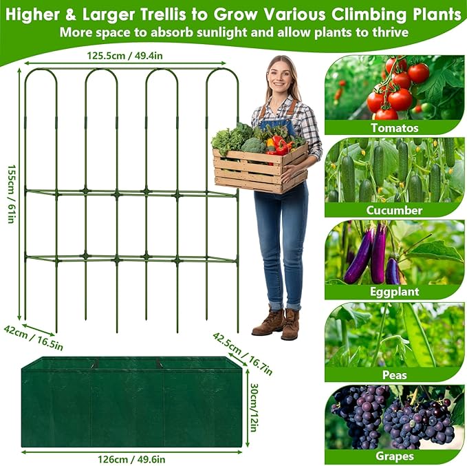 Cucumber Trellis for Climbing Plants - Image 6