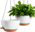 13-inch Oversized Hanging Planter Set of Two, Planters by Unknown