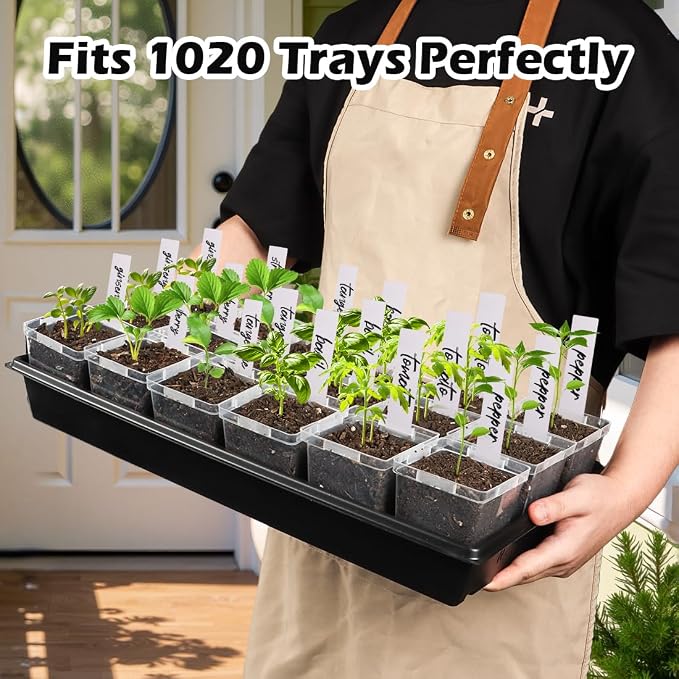 3.3 Inch Clear Nursery Pots - Image 2